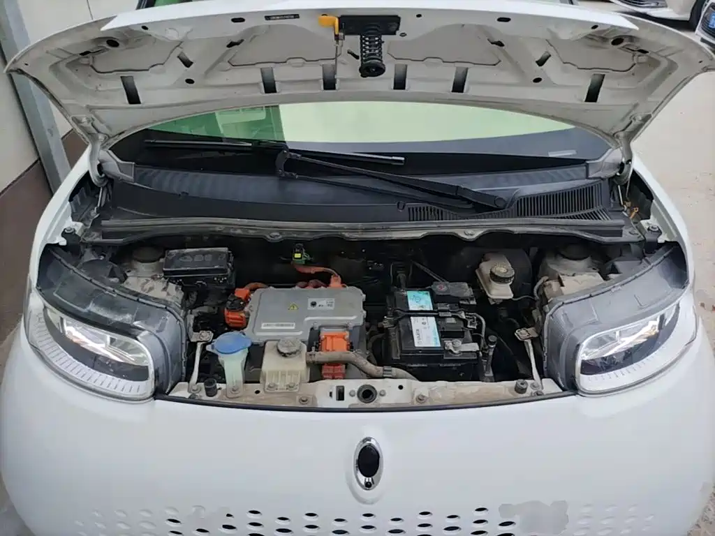Ora White Cat 2020 2020 360km Luxury Model