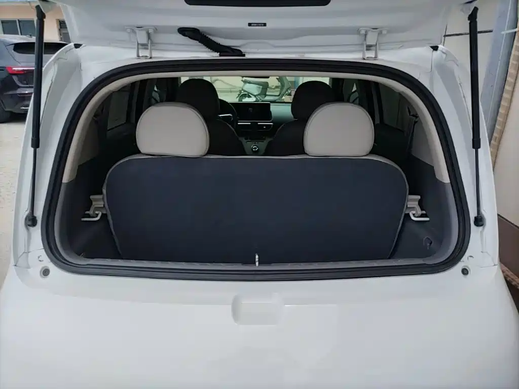 Ora White Cat 2020 2020 360km Luxury Model