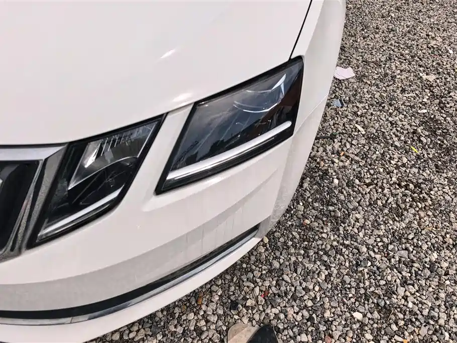 Škoda Octavia 2018 TSI280 DSG Luxury Edition фото 5
