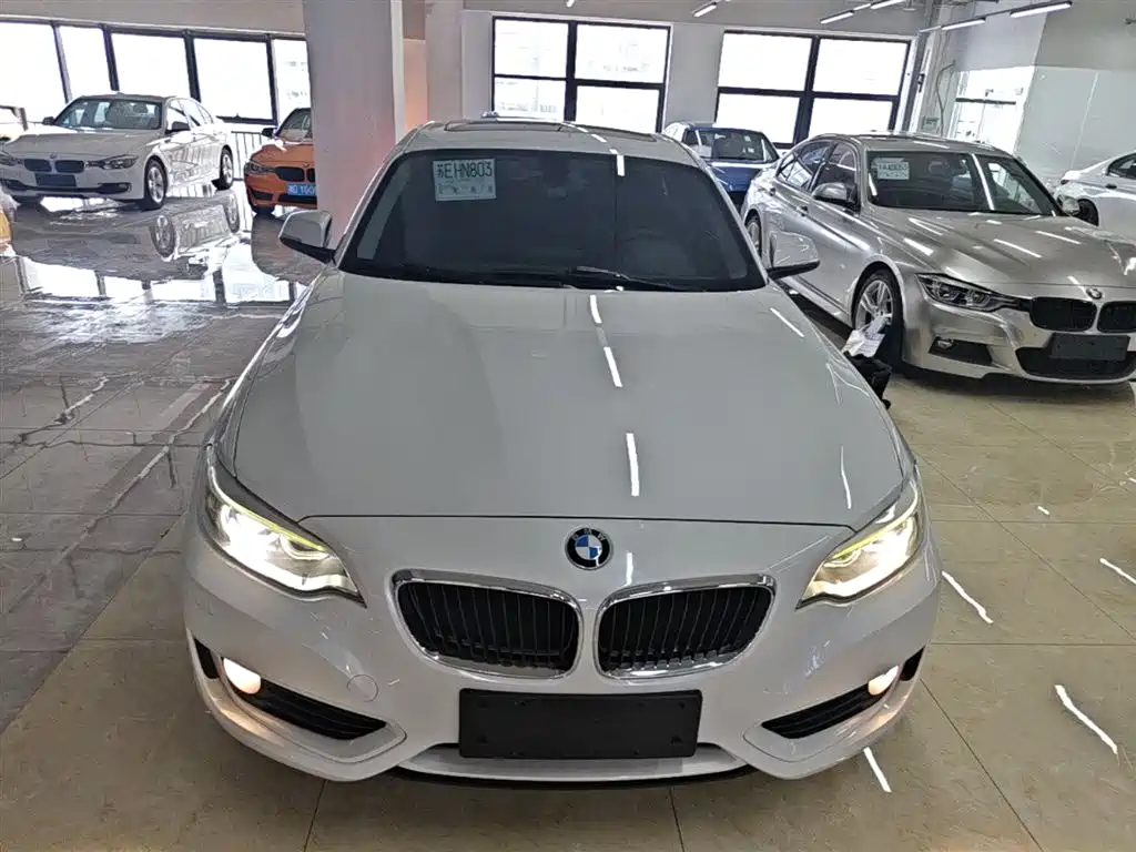 BMW 2 Series (Import) 2017 220i Leading фото 3