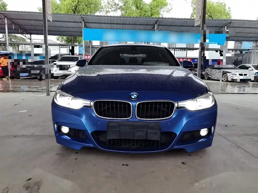 BMW 3 Series 2018 320Li Leading M Sport Package фото 3