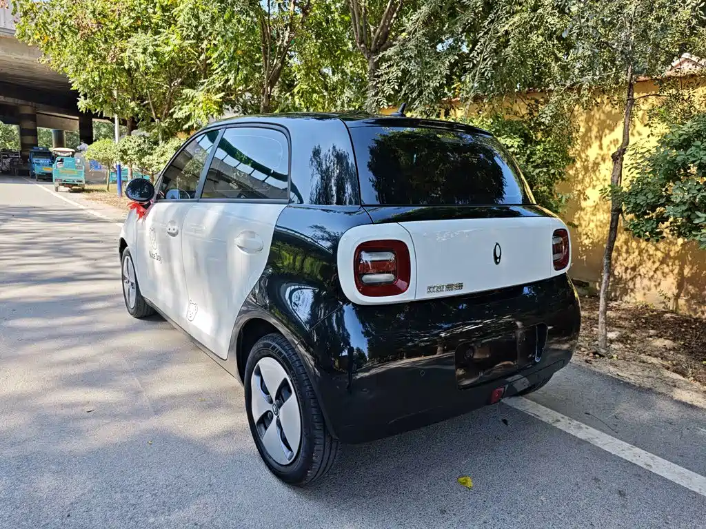 Ora Black Cat 2022 2022 Facelift 301km Pet Edition LFP Version