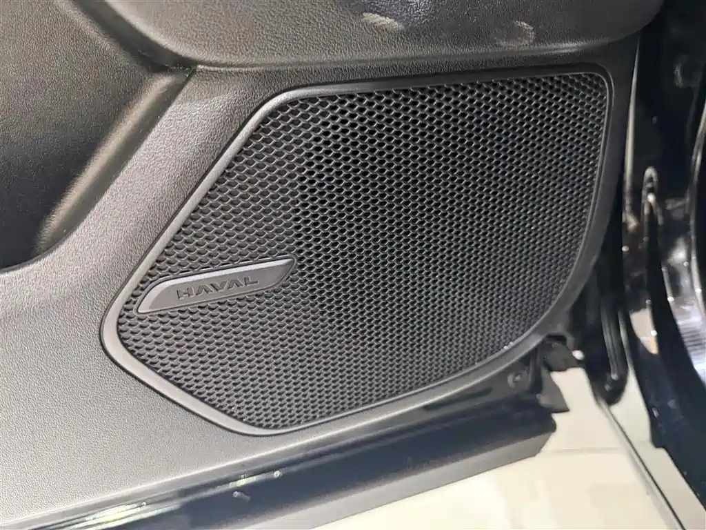 Haval Da Gou 2nd Gen 2023 2.0T 2WD Trendy Off-road Edition Plus фото 18