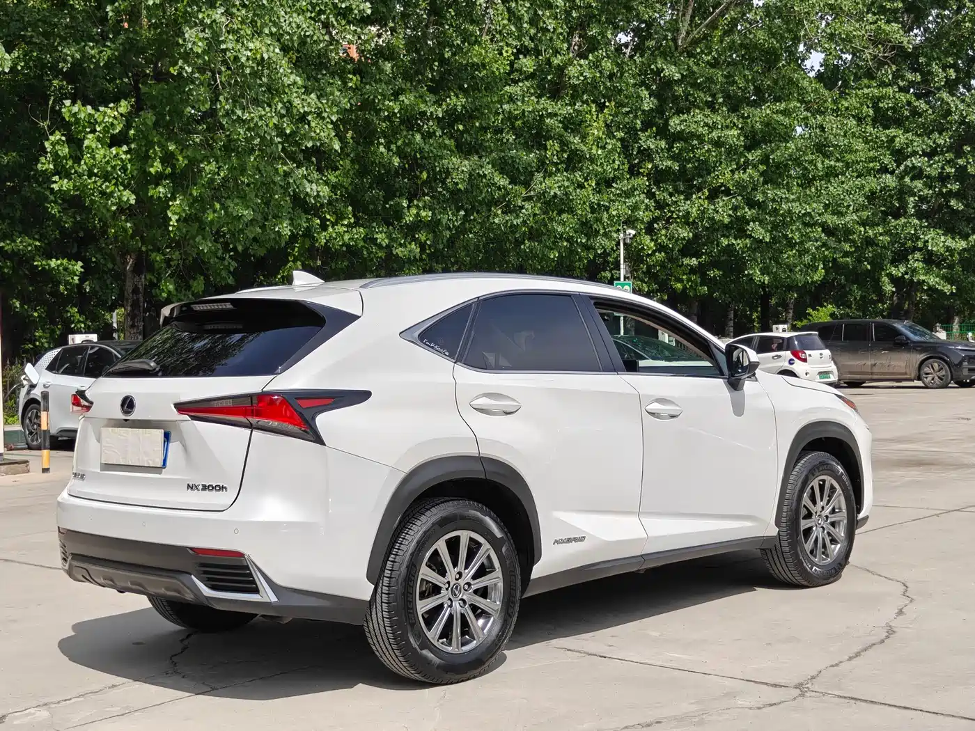 Lexus NX 2020 300h FWD F Sport China V фото 9