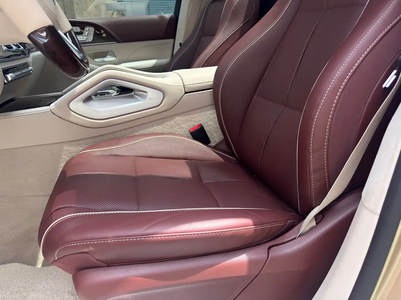 Mercedes-Benz Maybach GLS 2022 GLS 480 4MATIC фото 17