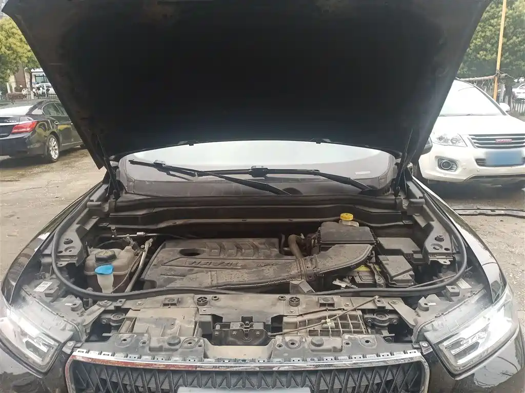 Haval H6 2021 Model National Trend Edition 1.5T Auto Champion фото 19