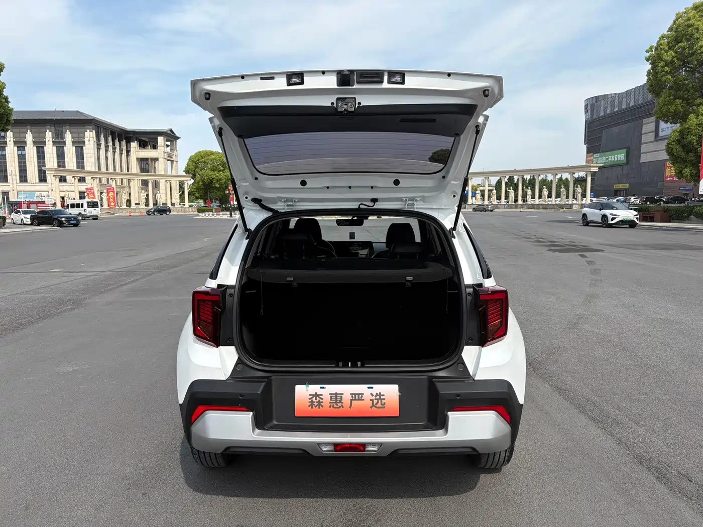 Kia Sonet 2024 1.5L Luxury Smart Edition фото 18