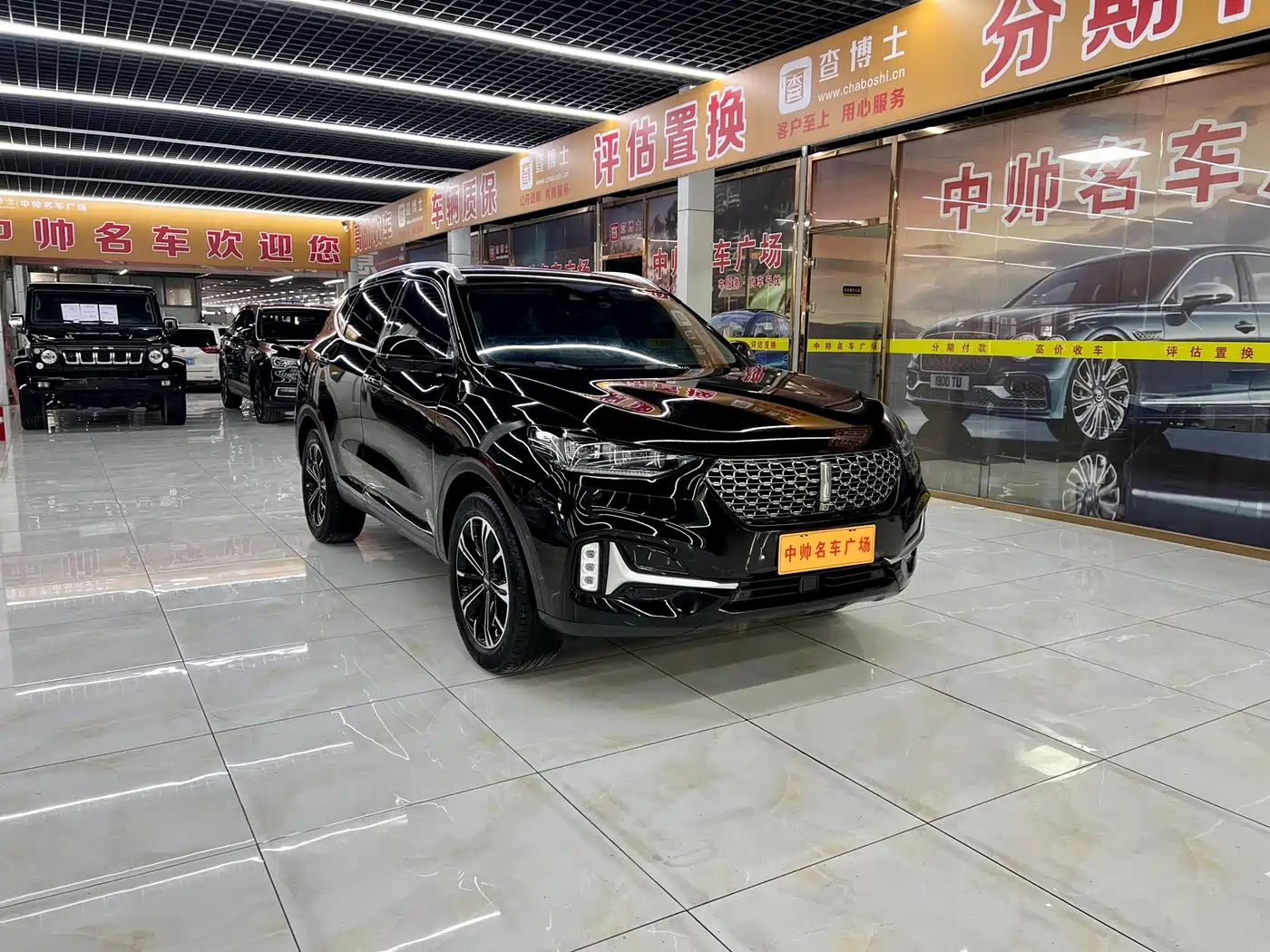 WEI PAI WEI BRAND VV6