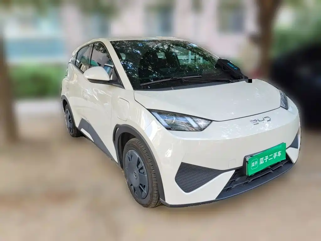 BYD Seagull 2026 2025 Smart Drive Edition 305km Vitality Version