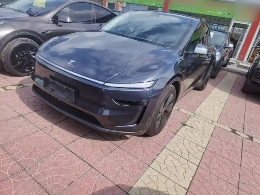Tesla Model Y 2025 Model Rear-Wheel Drive Launch Edition