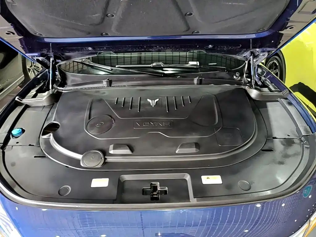 Voyah Auto VOYAH FREE 2021 AWD Standard Range Extender Exclusive Luxury Package фото 20