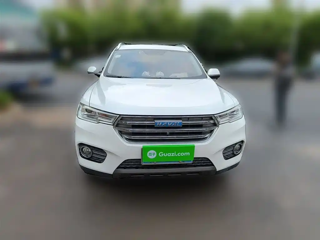 Haval H6 2017 Blue Label 2.0T Automatic 2WD Trend фото 24