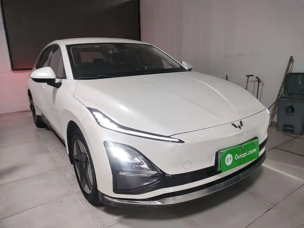 Фото 4 - Wuling Motors Wuling E5