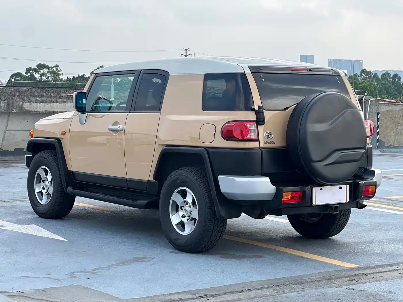 Toyota FJ Cruiser 2007 4.0L фото 3