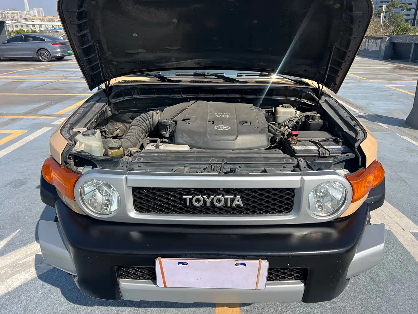 Toyota FJ Cruiser 2007 4.0L фото 16