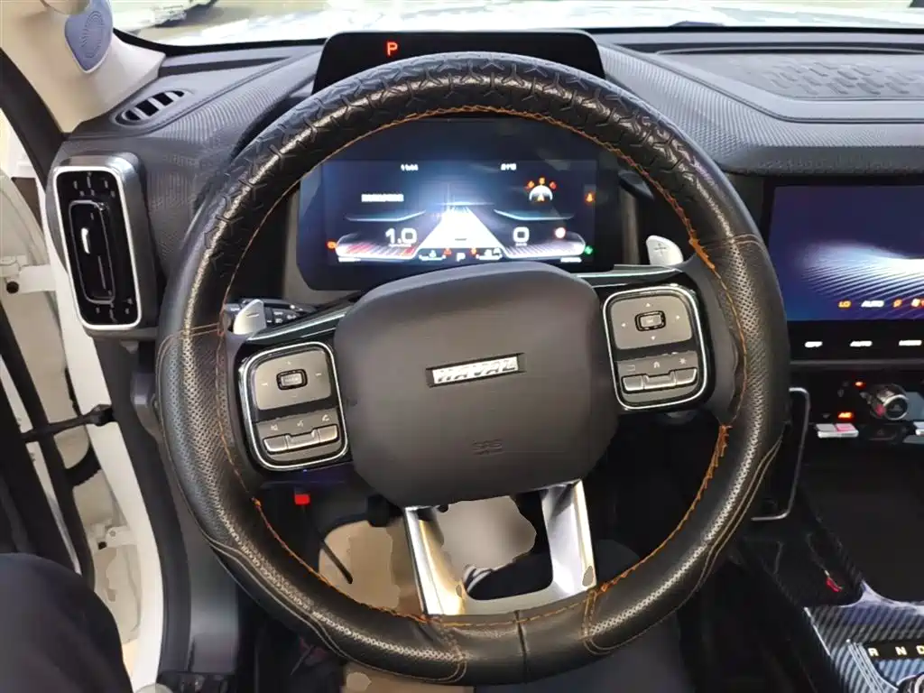 Haval Big Dog 2021 1.5T DCT 2WD Border Collie - Wangcai Edition фото 11