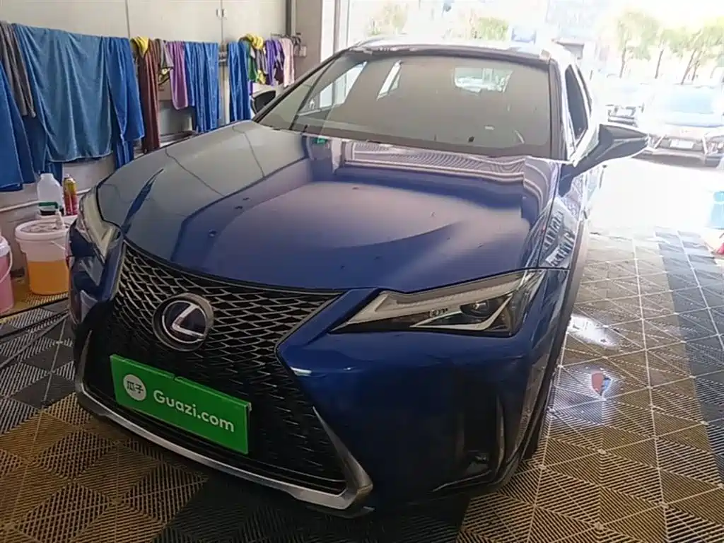 Lexus UX 2019 260h F SPORT Edition China VI