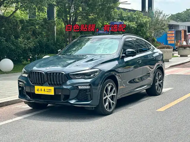 bmw x6