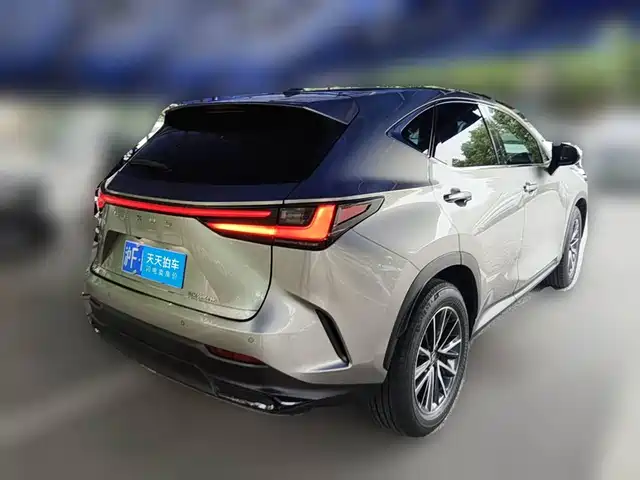 Lexus NX 2023 350h FWD Dynamic Edition — фото 2