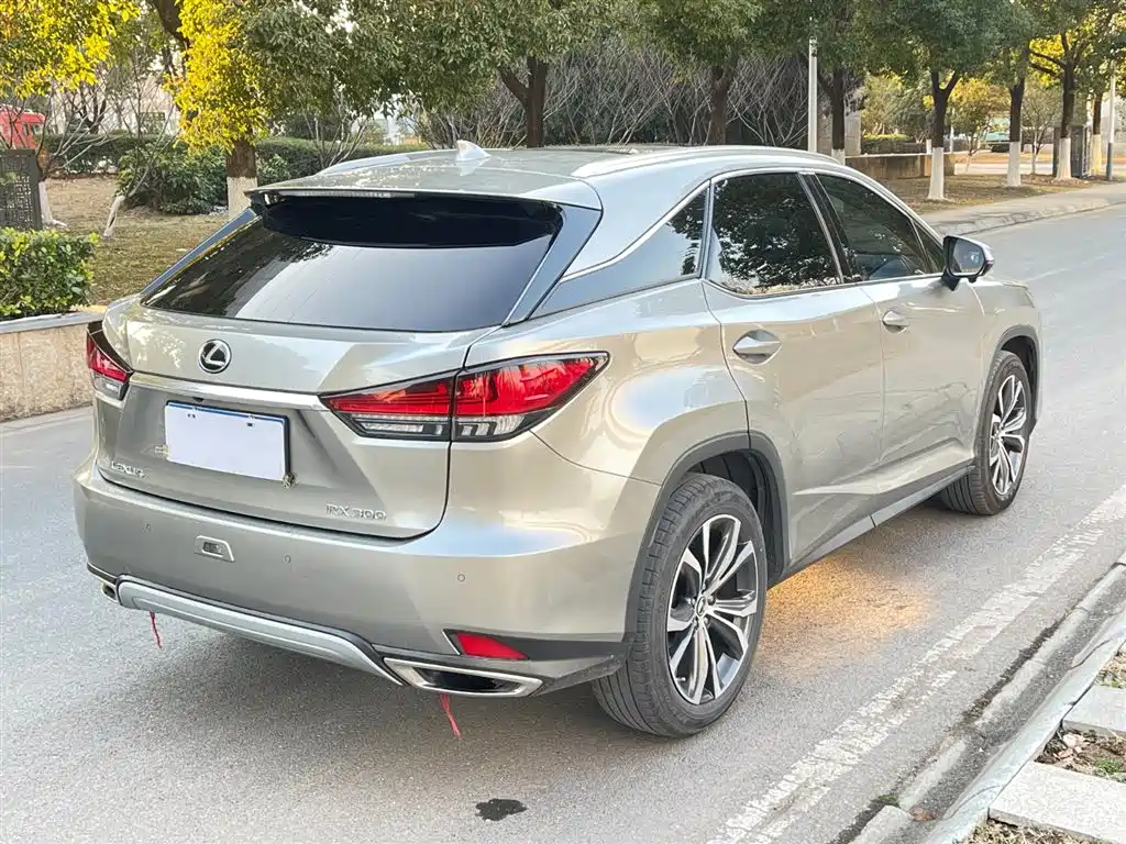 Lexus RX 2020 300 4WD Elegance Edition China VI фото 7