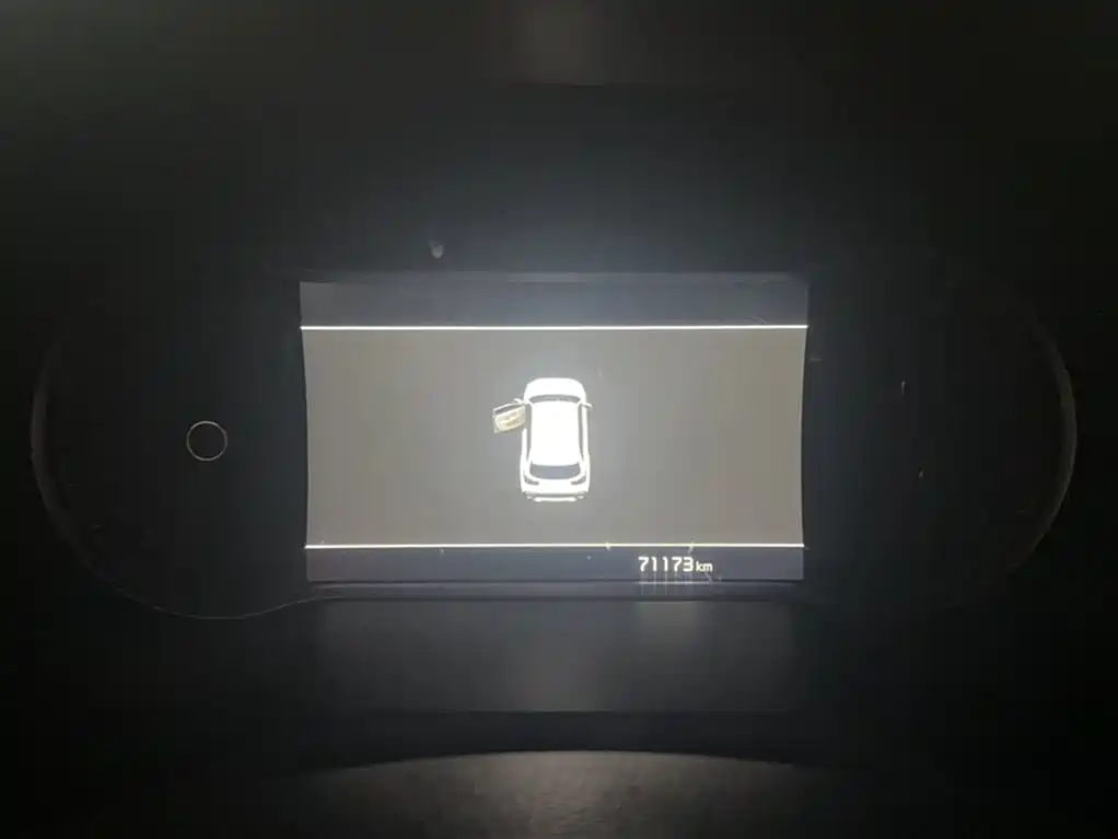 Kia Sportage 2019 2.0L Automatic Smart Luxury Edition фото 5