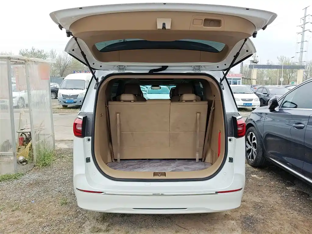Buick GL8 2021 ES Landlord 653T Premium фото 19