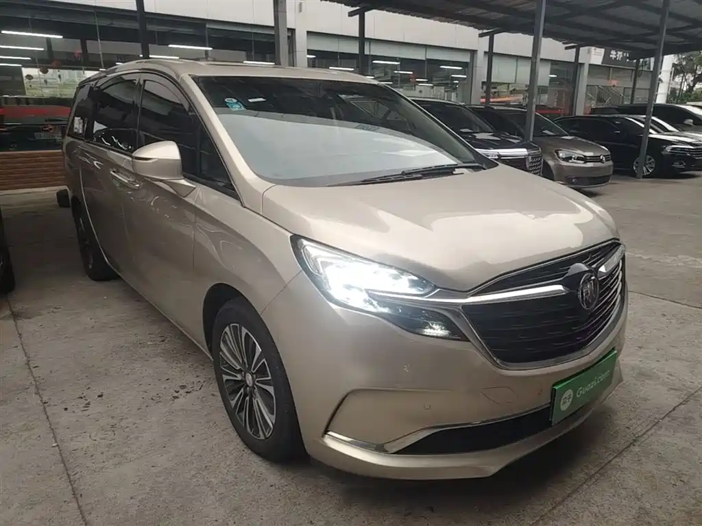 Buick GL8 2021 ES Landlord 653T Luxury фото 4