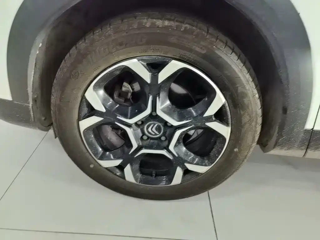 Фото 23 - Citroën Tianyi C5 AIRCROSS