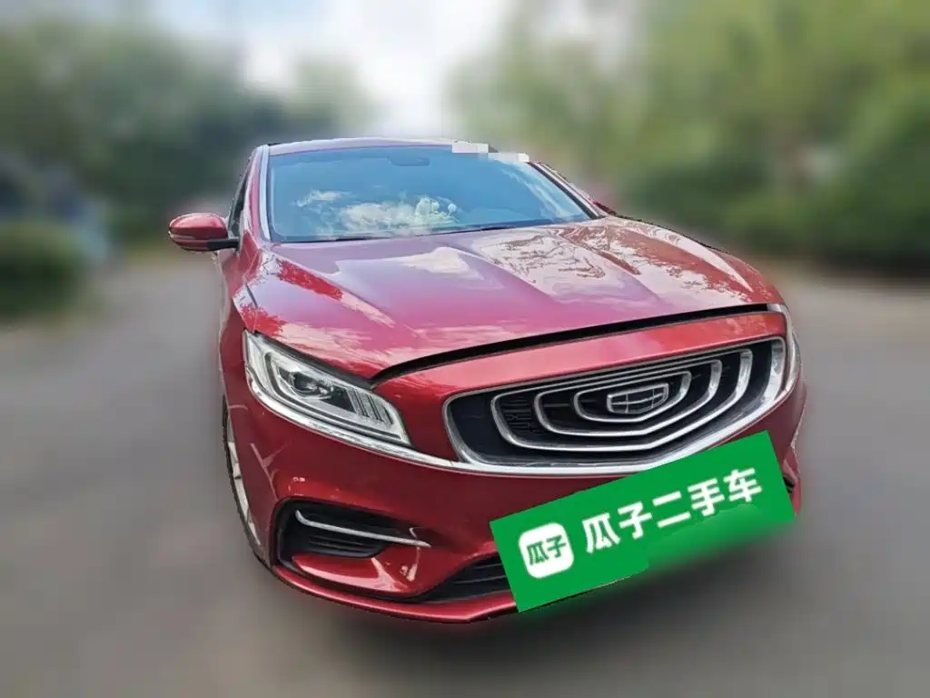 Фото 24 - Geely Borui