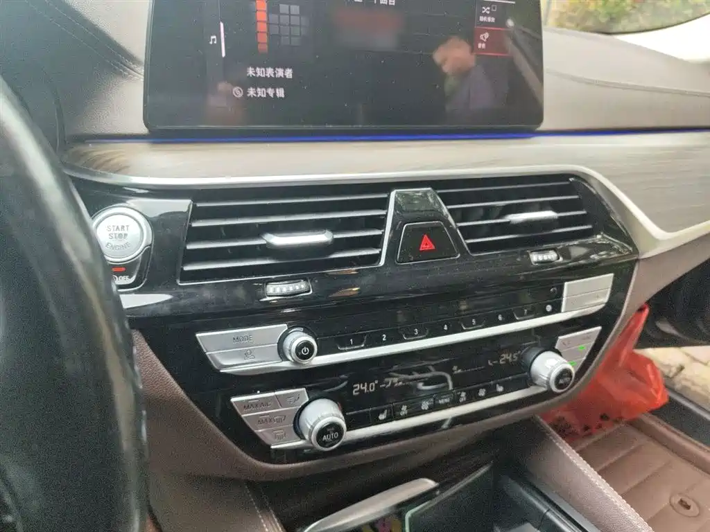 BMW 5 Series 2020 530Li Leading Luxury Package фото 6