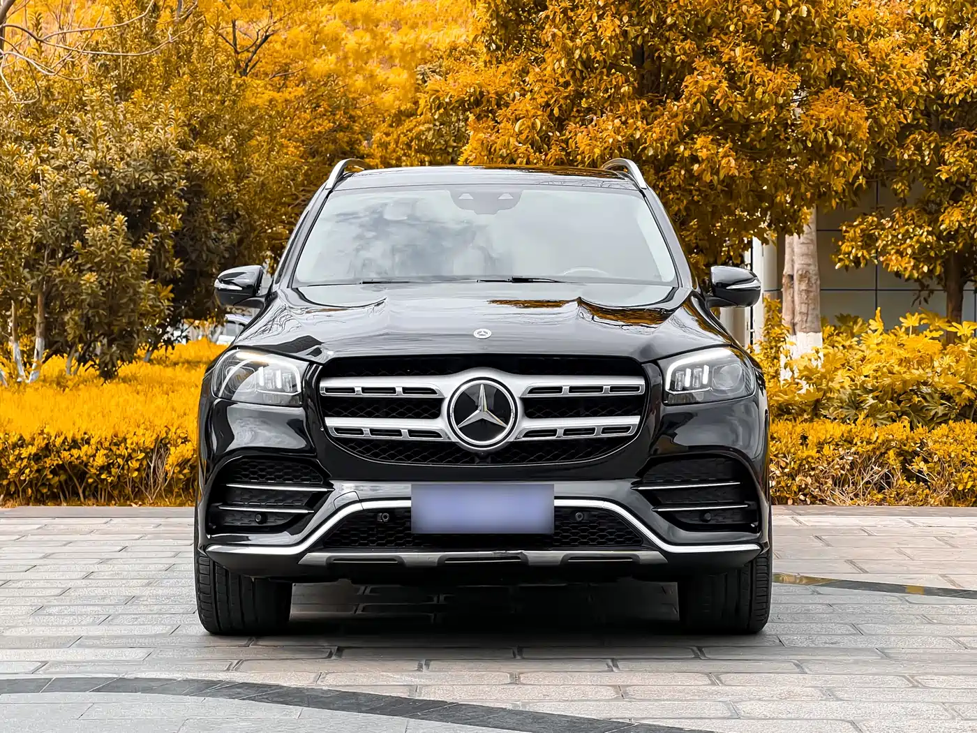 Mercedes-Benz GLS 2021 GLS 450 4MATIC Luxury фото 2