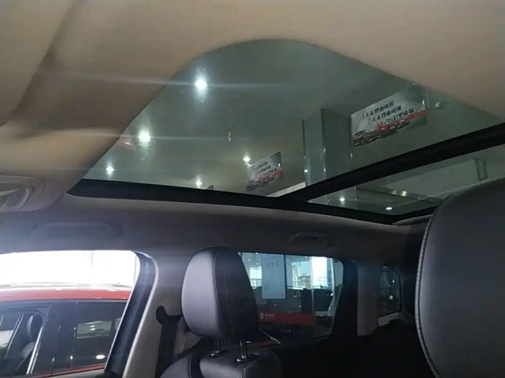 Haval Big Dog 2021 1.5T DCT 2WD Labrador Edition фото 18
