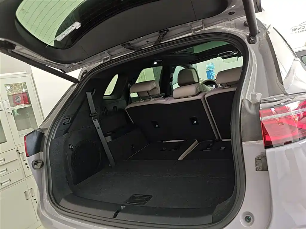 BYD Tang New Energy 2025 Smart Driving Edition DM-i 115KM Flagship фото 19