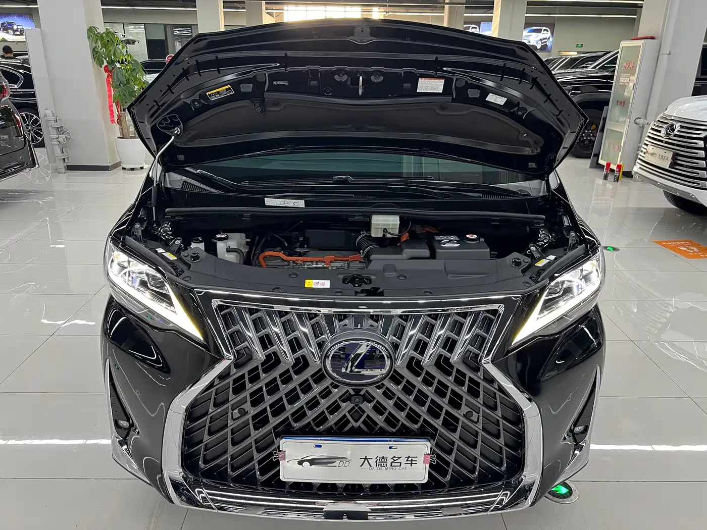 Lexus LM 2020 300h Seven-Seater Elegance Edition фото 24