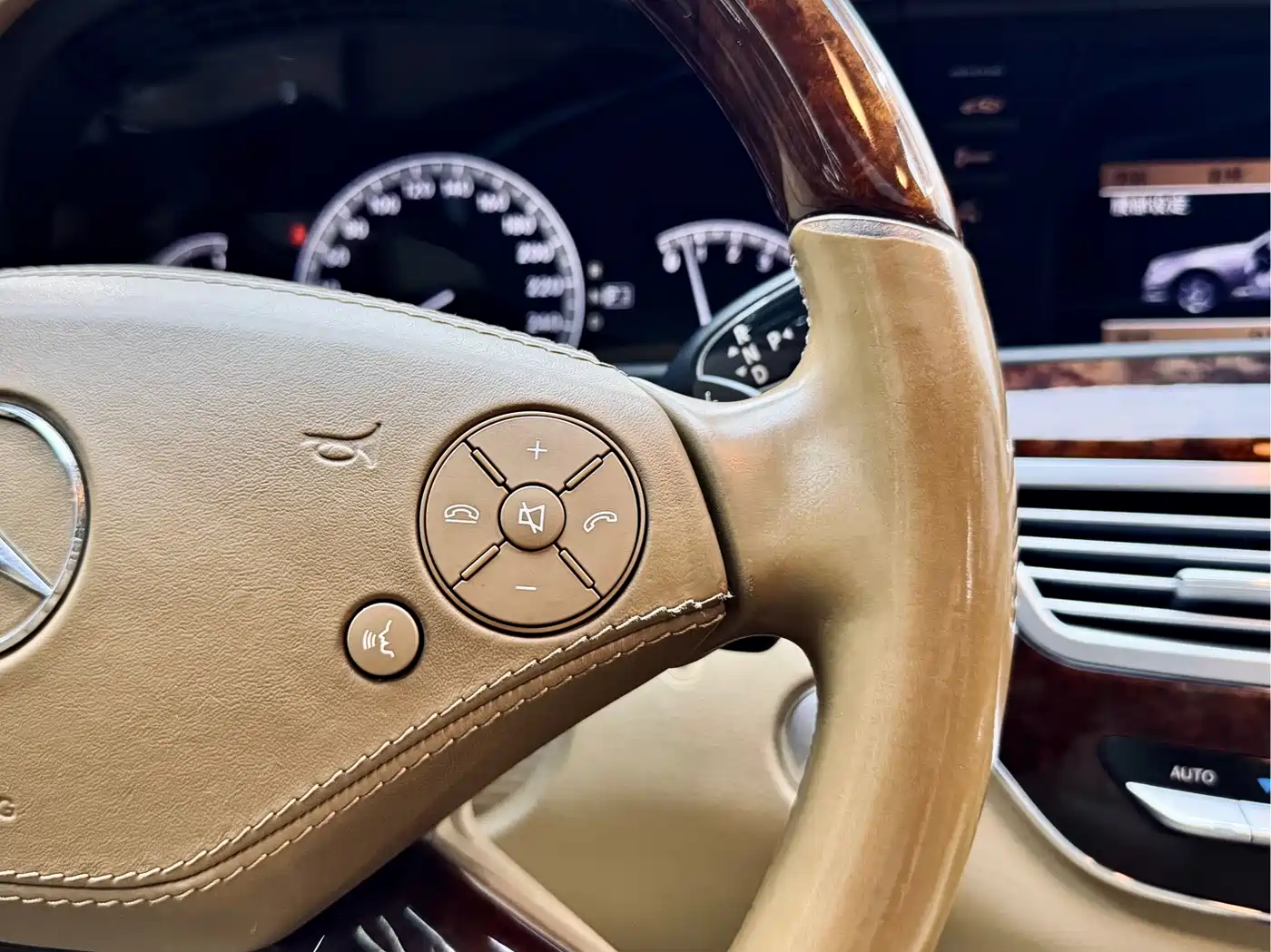 Mercedes-Benz S-Class 2010 S 350 L 4MATIC фото 22
