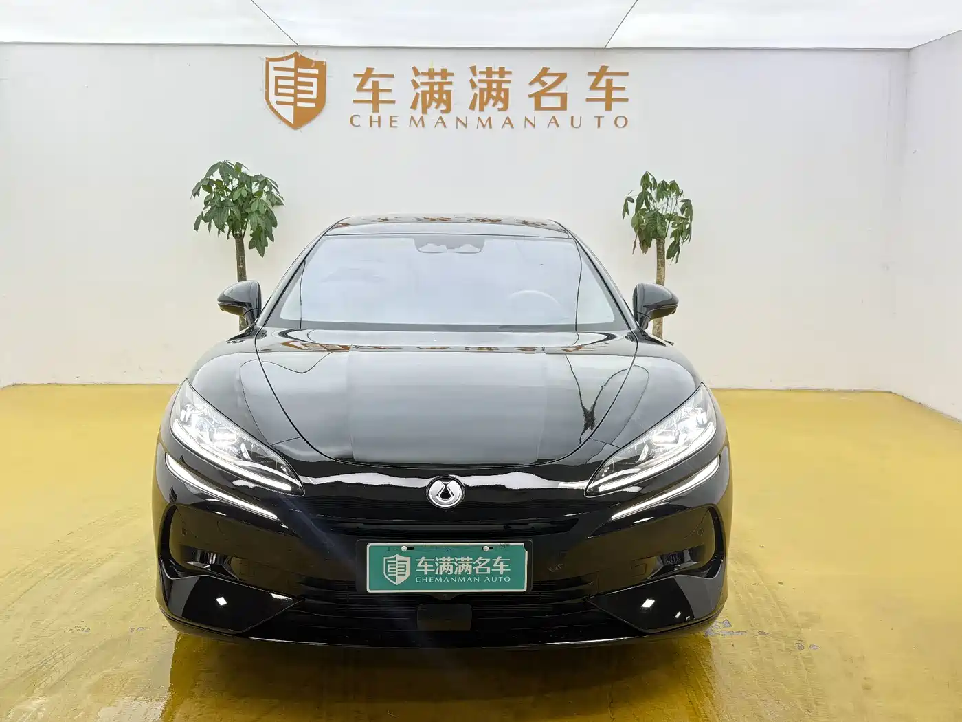 Denza Z9 2024 2024 Model 1100km AWD Max Edition