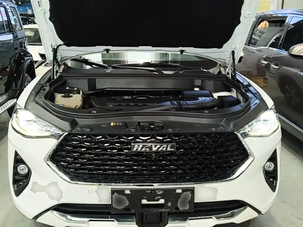 Haval F7x 2019 2.0T FWD Ultimate Tech Edition фото 20