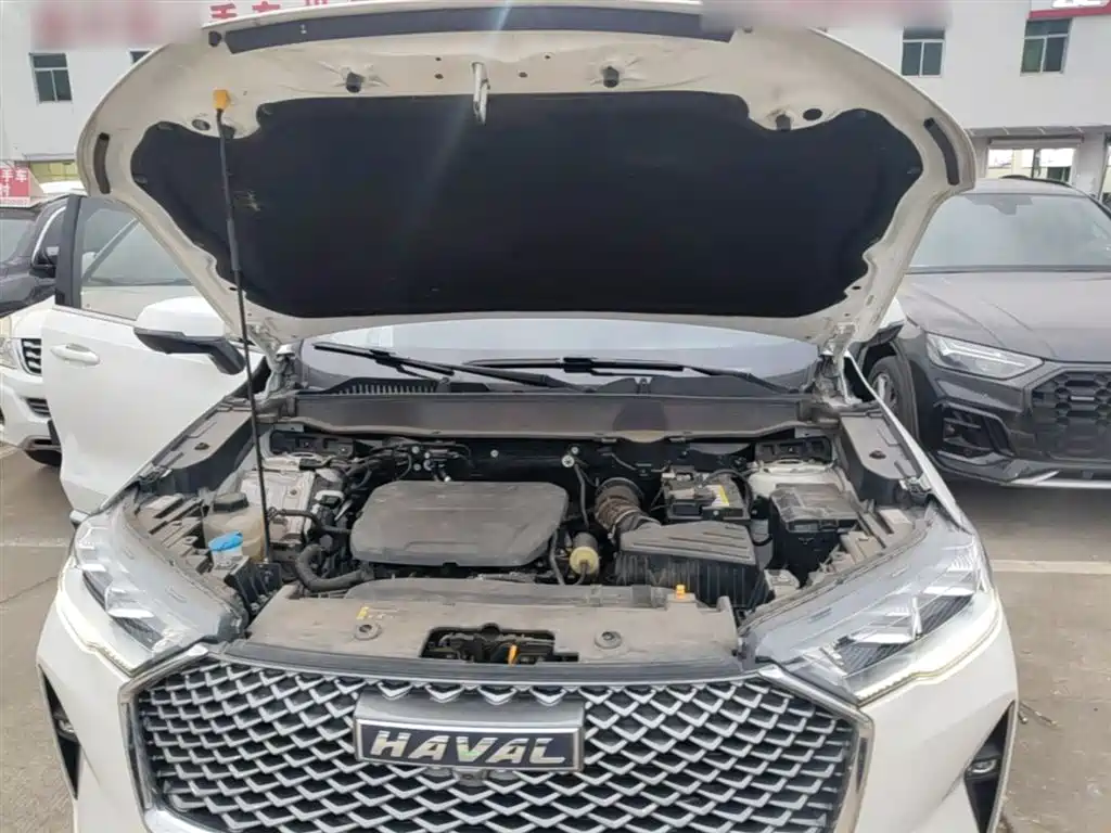Haval H6 2022 3rd Gen 1.5T Auto 2WD Pro фото 20