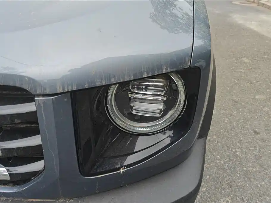 Haval Big Dog 2021 1.5T DCT 2WD Border Collie - Wangcai Edition фото 5