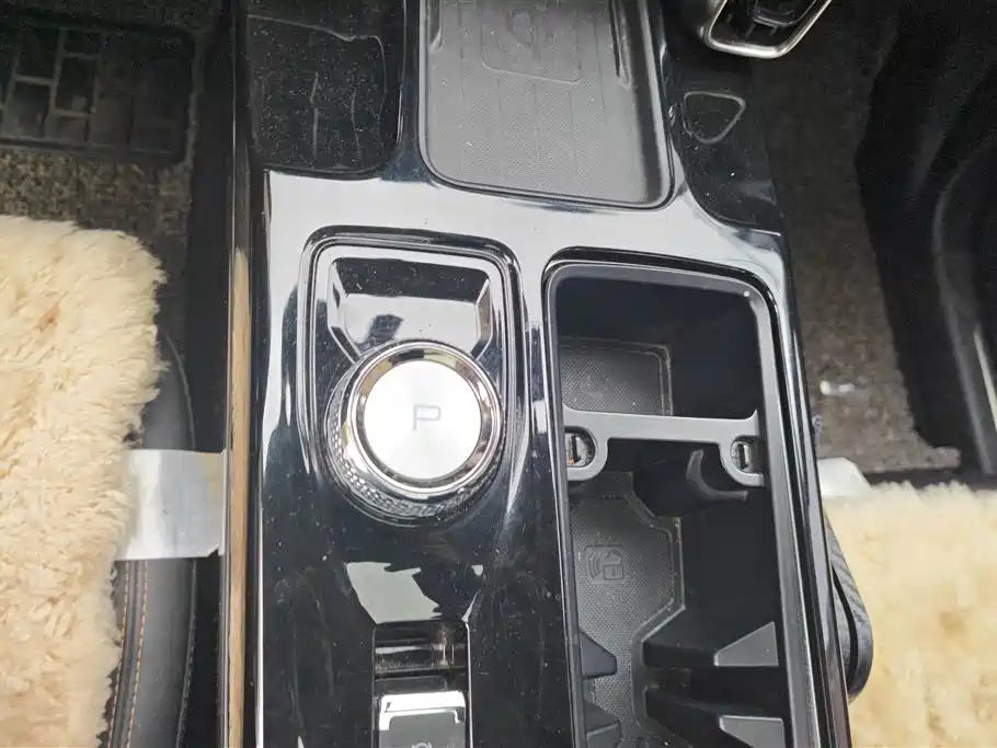 Haval Big Dog 2021 1.5T DCT 2WD Border Collie - Wangcai Edition фото 16