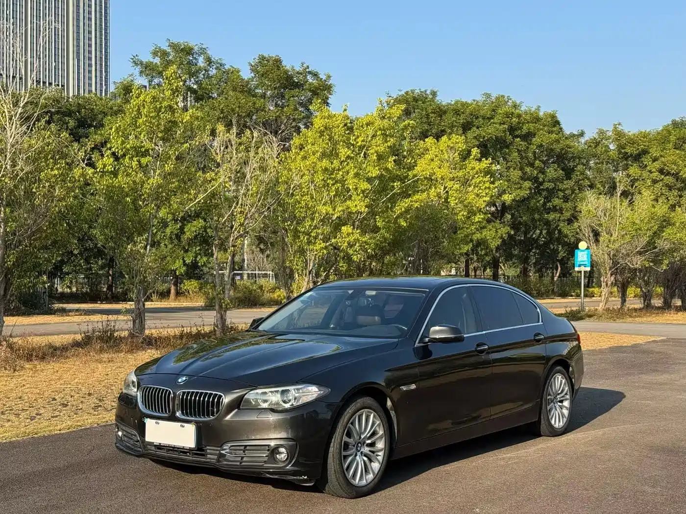 BMW 5 Series 2017 525Li Luxury Design Package