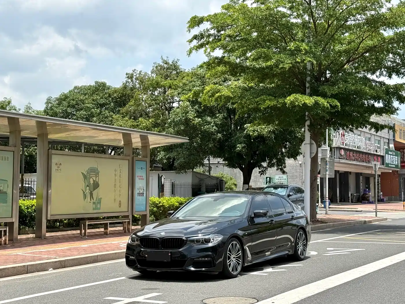 BMW 5 Series 2019 530Li Leading M Sport Package