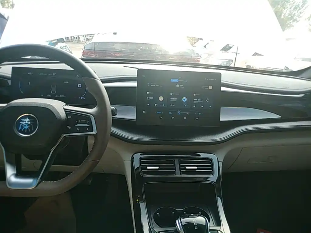 BYD Qin PLUS 2024 Glory Edition DM-i 55KM Leading фото 13