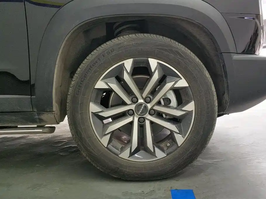 Haval Big Dog 2024 1.5T DCT Border Collie Edition фото 6