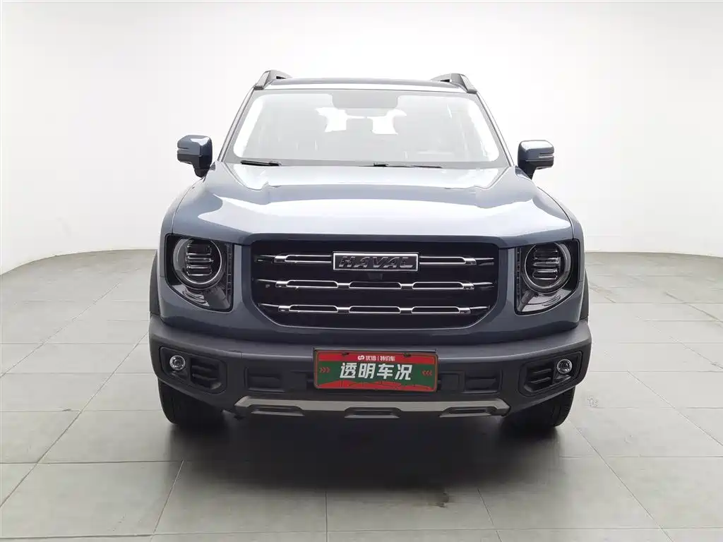 Haval Big Dog 2021 1.5T DCT 2WD Labrador Edition фото 3