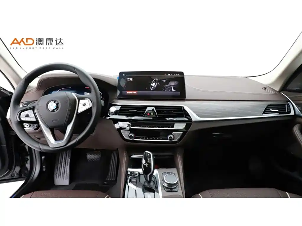 BMW 5 SERIES