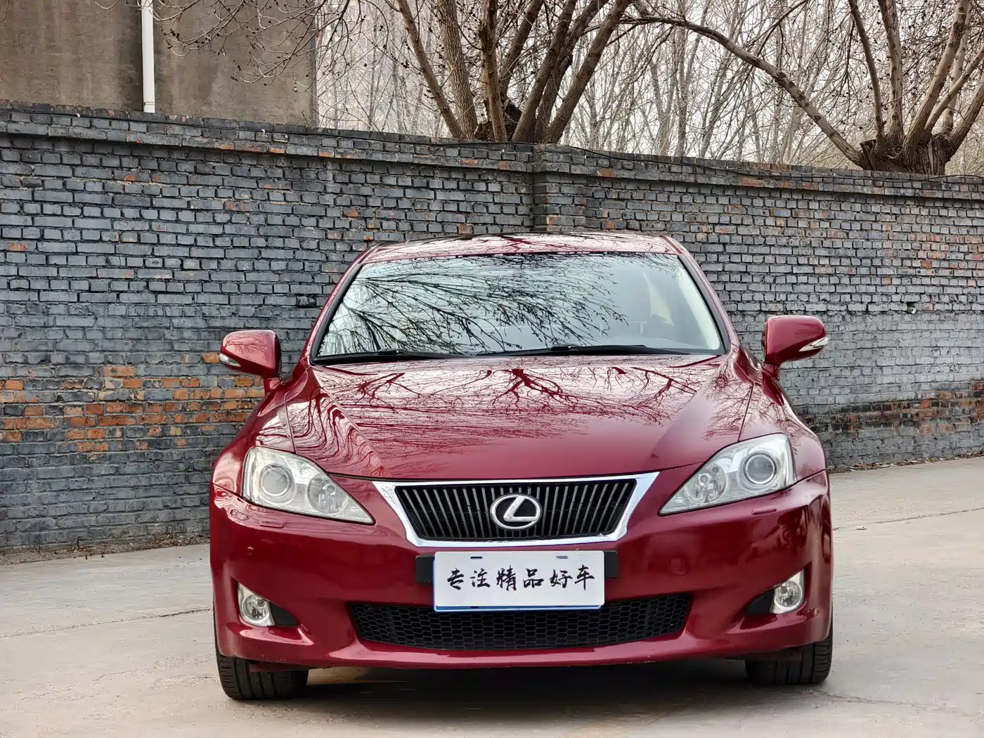 Lexus IS 2009 300 Dynamic Edition фото 2
