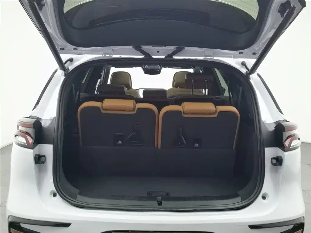 BYD Tang New Energy 2023 Model DM-i Champion Edition 112KM Premium фото 16