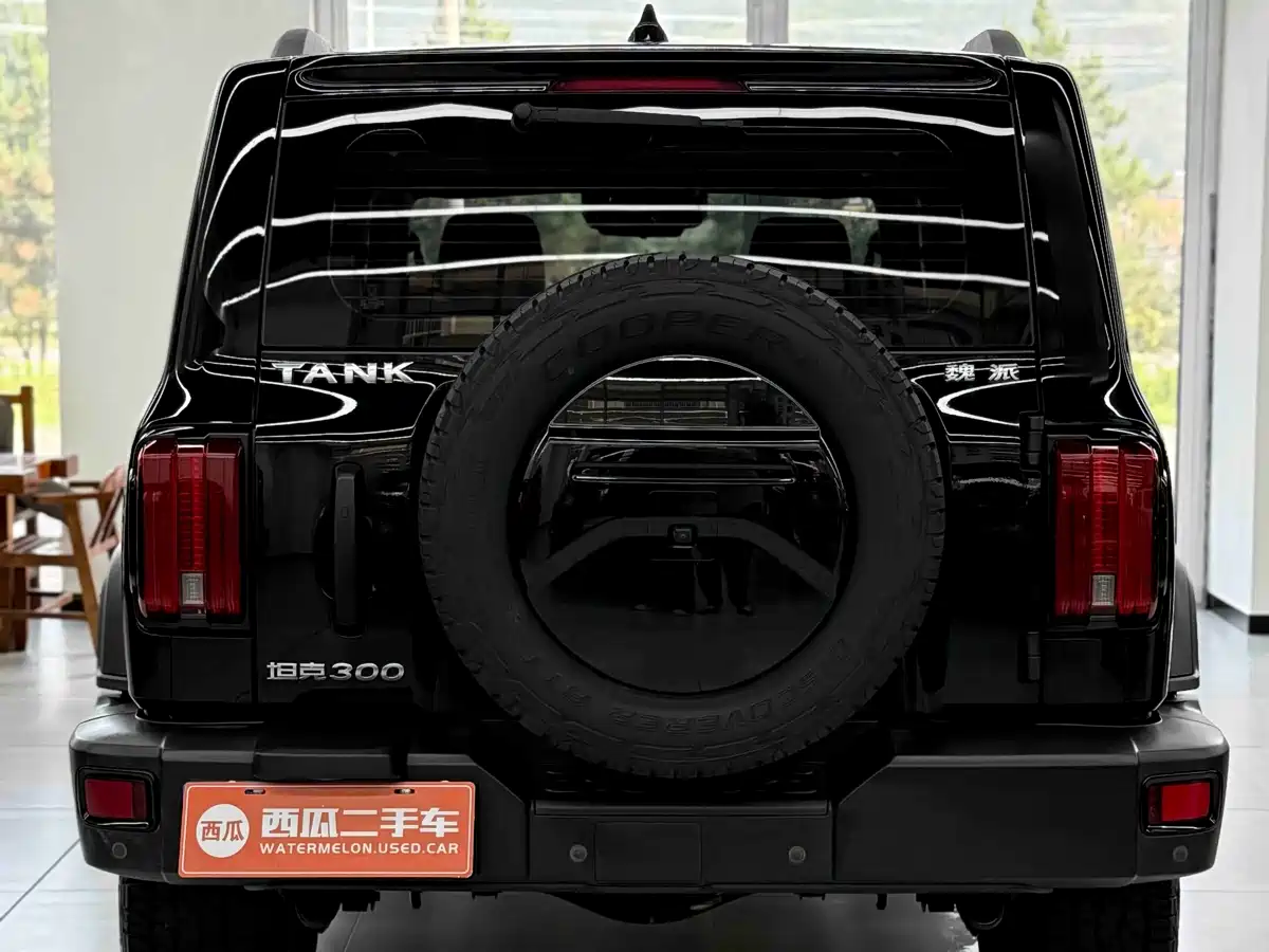 Tank 300 2021 Off-road Edition 2.0T Challenger фото 10