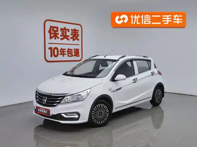 BAOJUN 310